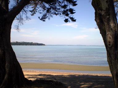  Surfdale Trees